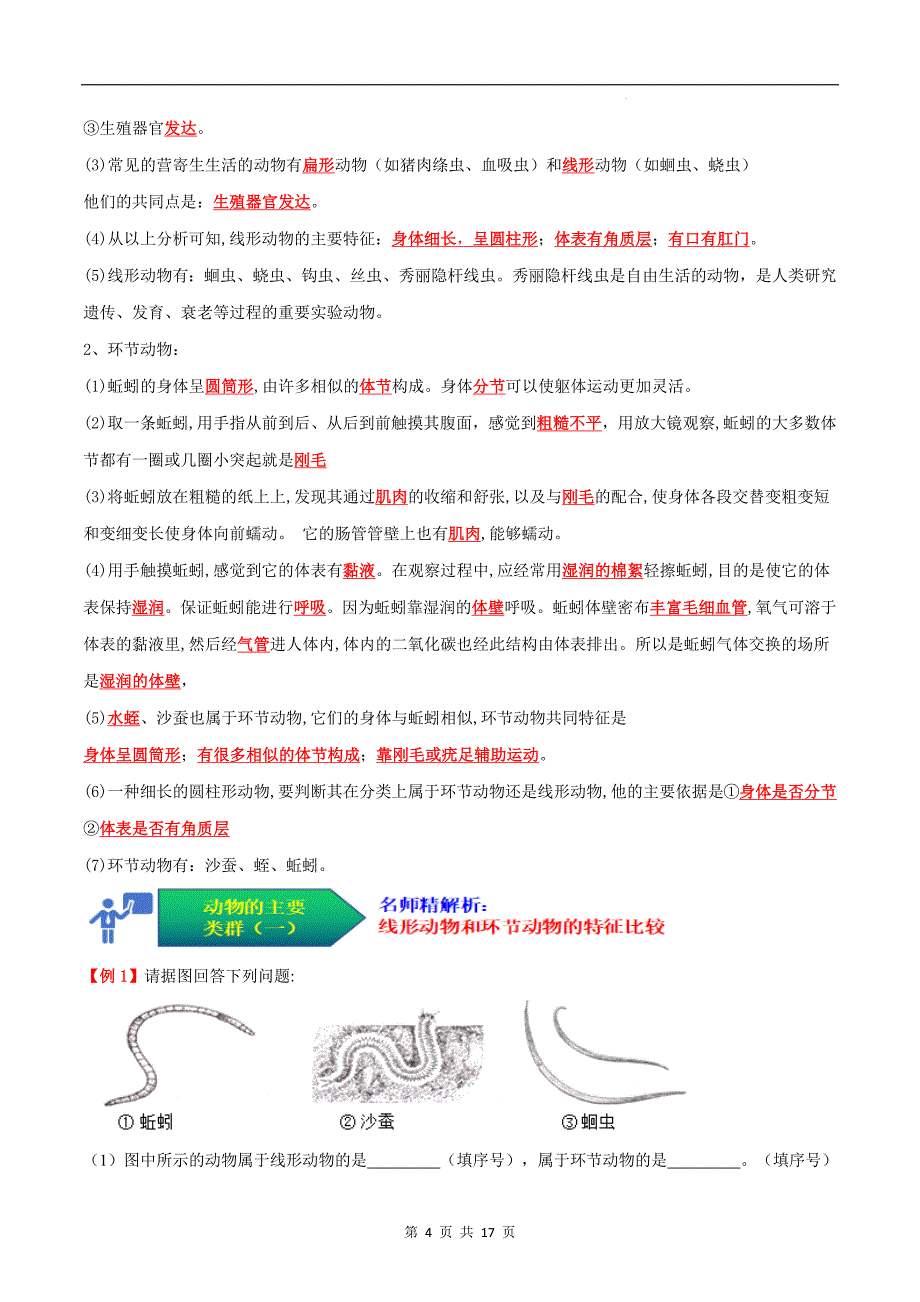 【人教】考点01 动物的主要类群（一、无脊椎动物）（解析版）_第4页