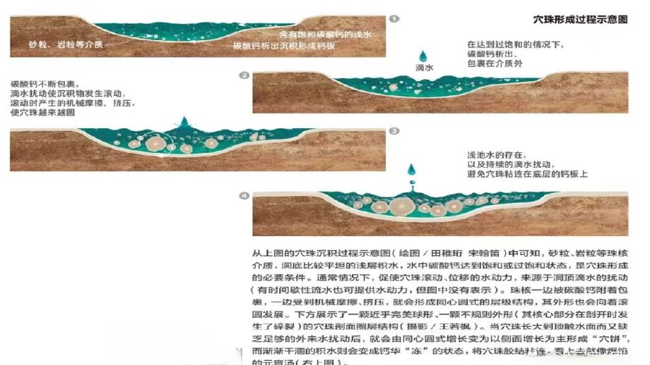 2025届高考地理一轮复习课件+常见的地貌类型之微型地貌——喀斯特地貌化学沉积地貌-穴珠_第4页