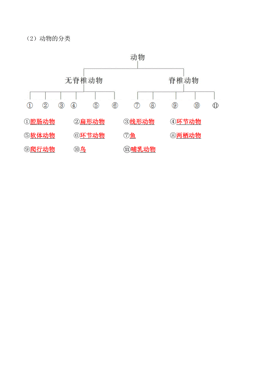 【人教】课时练习6.1.1 尝试对生物进行分类-课后培优分级练（人教版）（解析版）_第2页