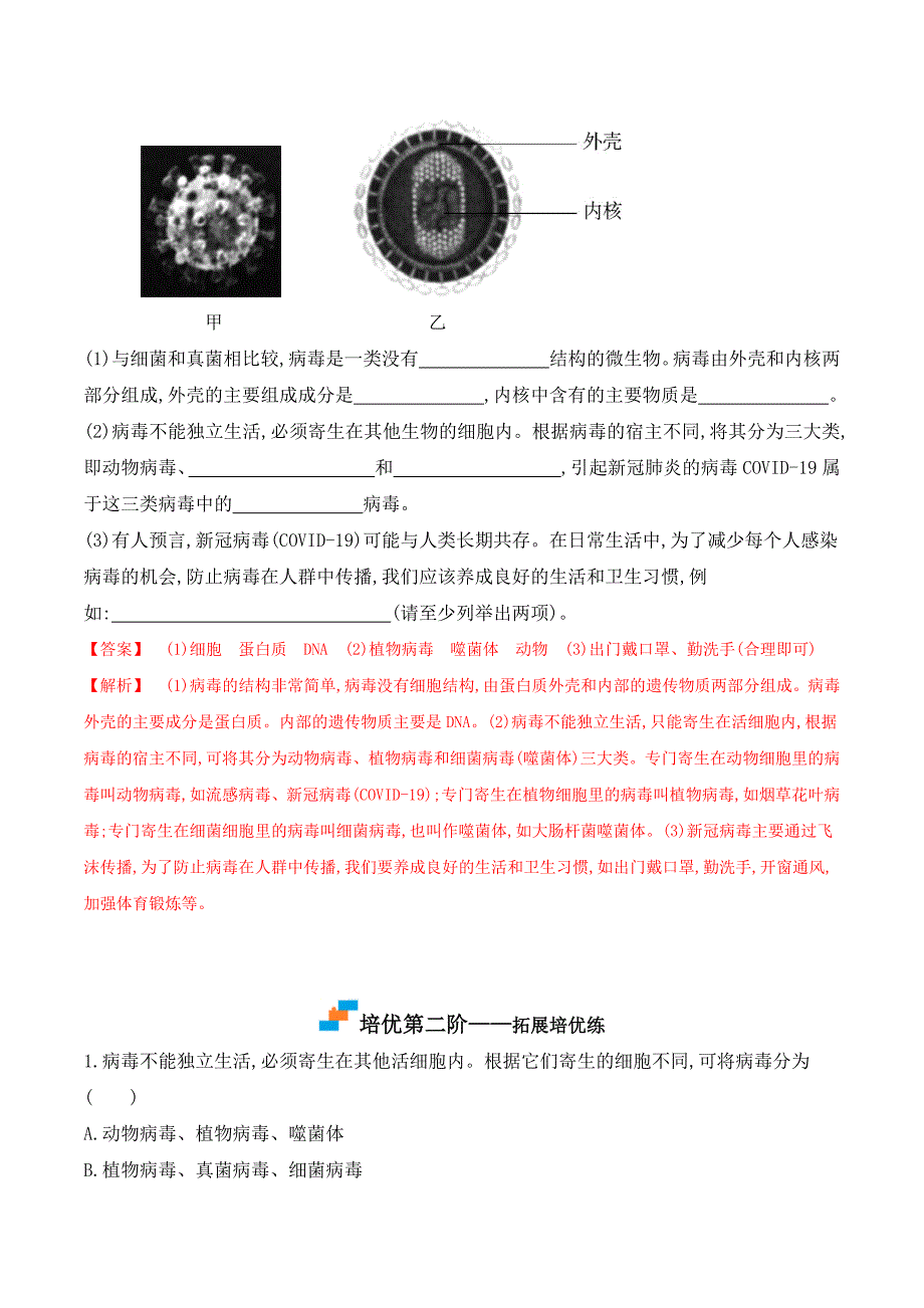 【人教】课时练习5.5 病毒-课后培优分级练（人教版）（解析版）_第4页