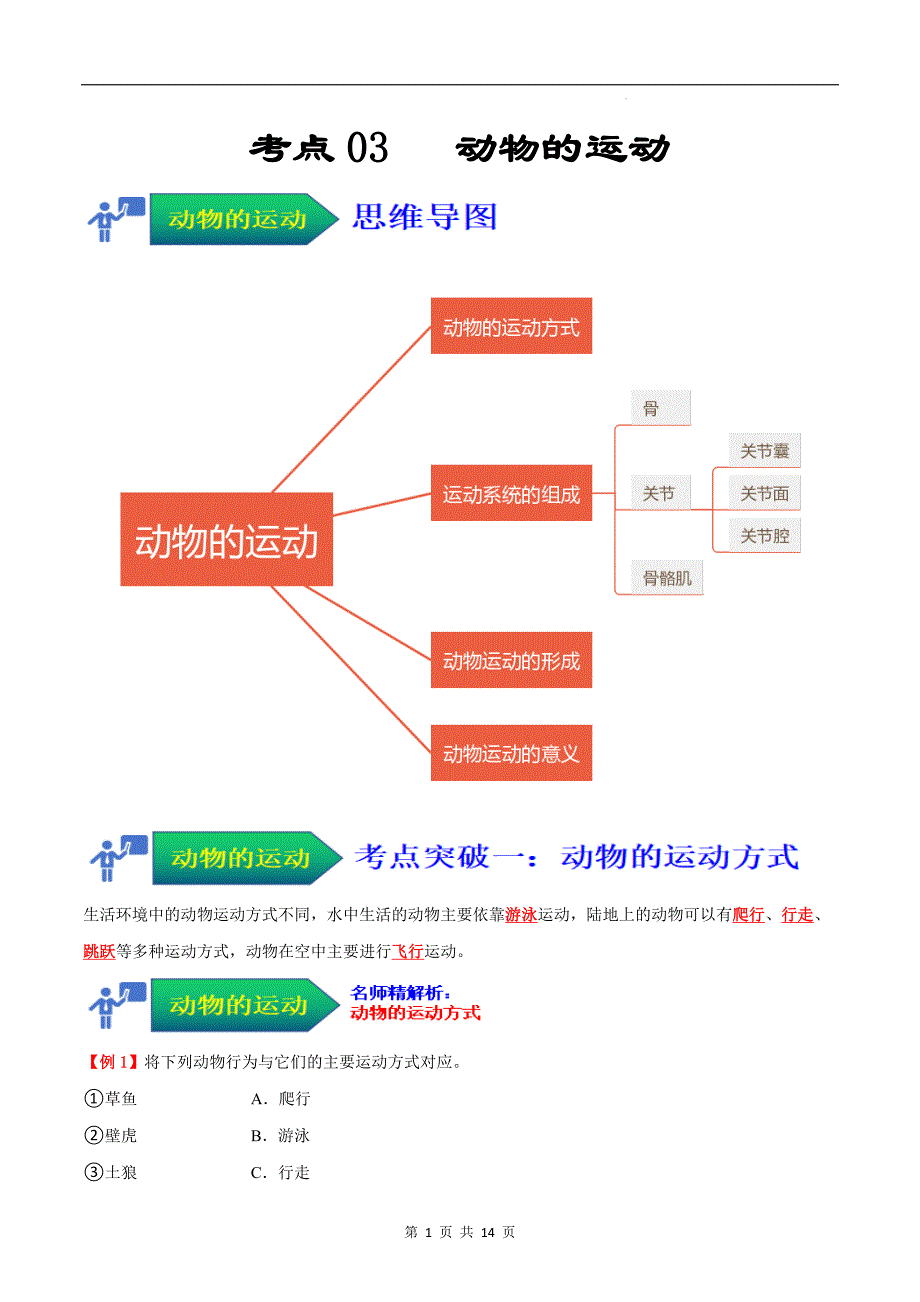 【人教】考点03 动物的运动（解析版）_第1页