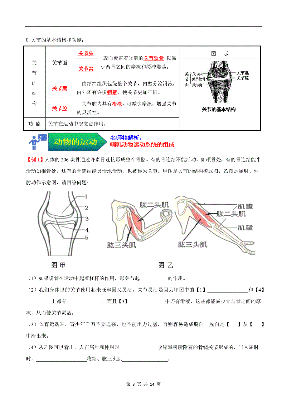 【人教】考点03 动物的运动（解析版）_第3页