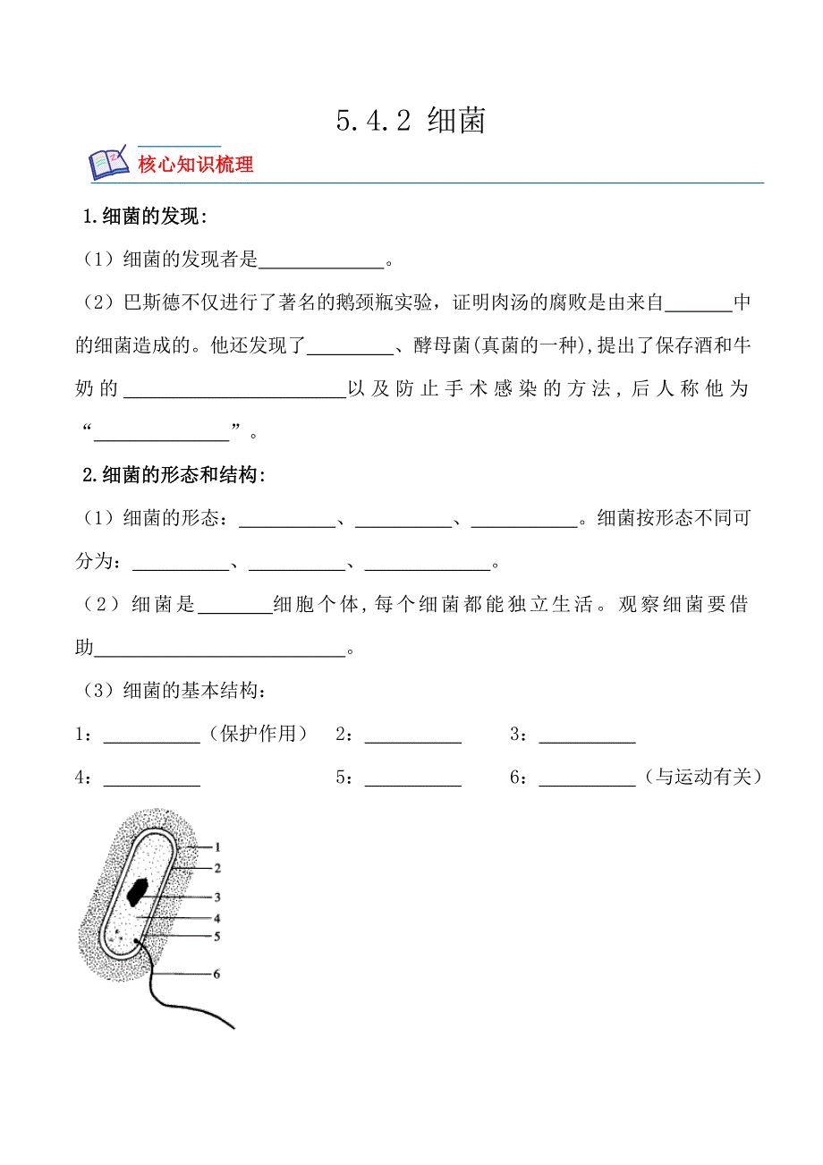 【人教】课时练习5.4.2 细菌-课后培优分级练（人教版）（原卷版）_第1页