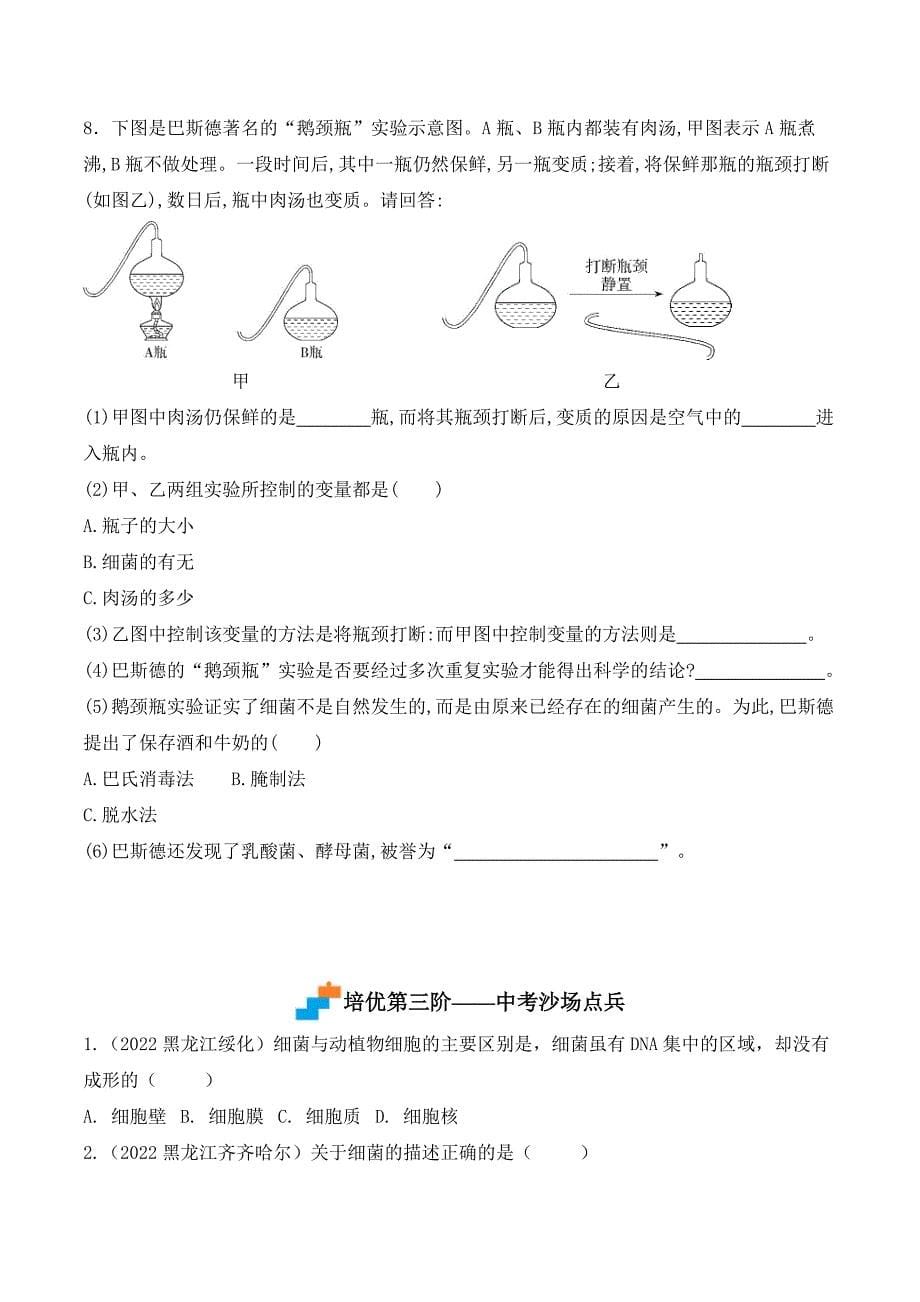 【人教】课时练习5.4.2 细菌-课后培优分级练（人教版）（原卷版）_第5页