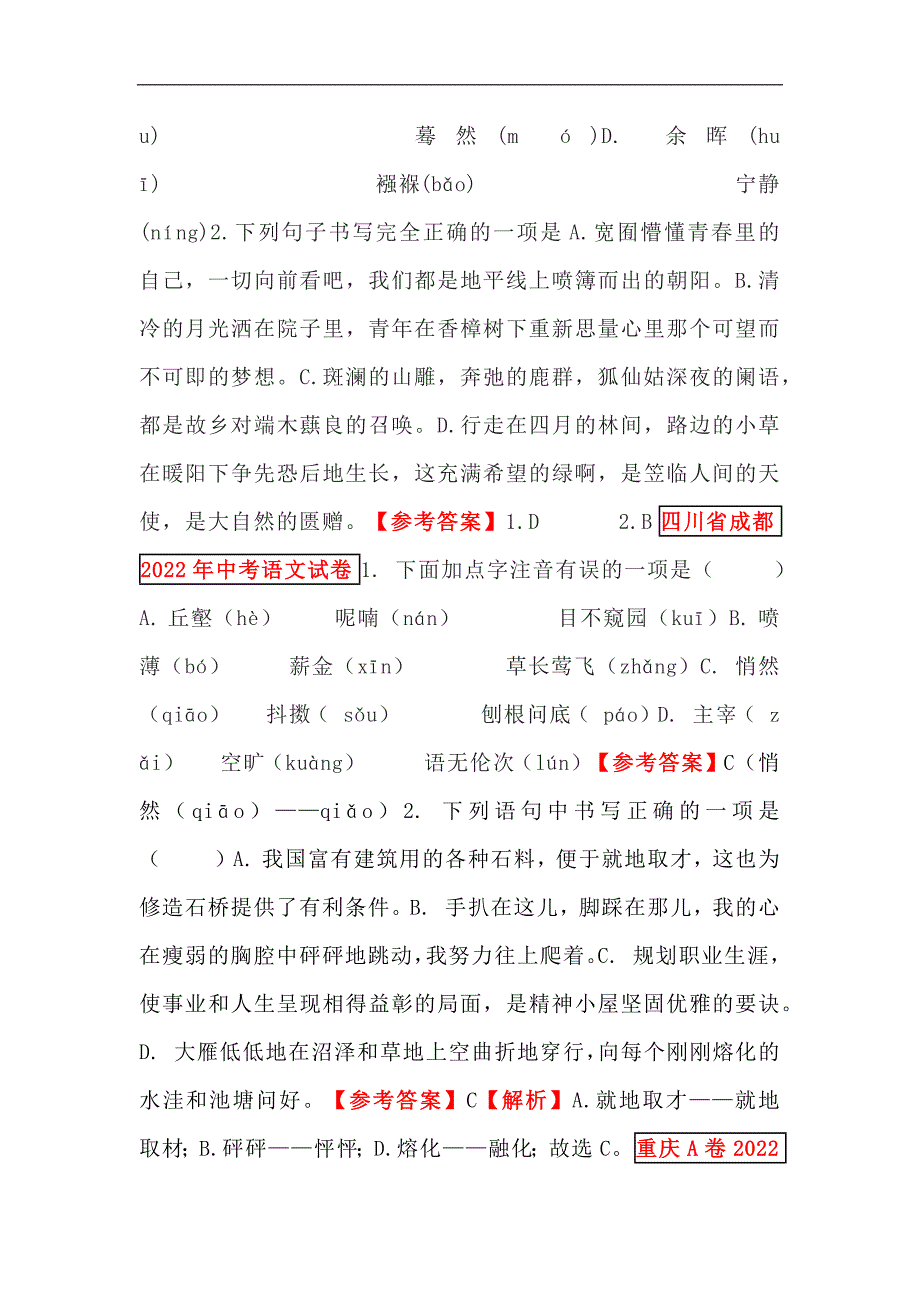 2024年中考语文专项练：字音、字形专题_第2页