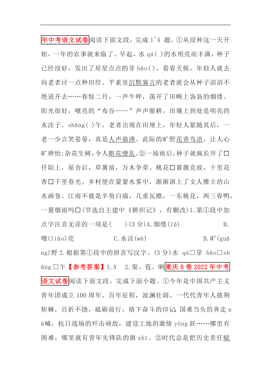 2024年中考语文专项练：字音、字形专题_第3页