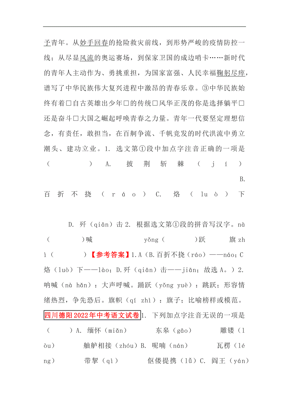 2024年中考语文专项练：字音、字形专题_第4页