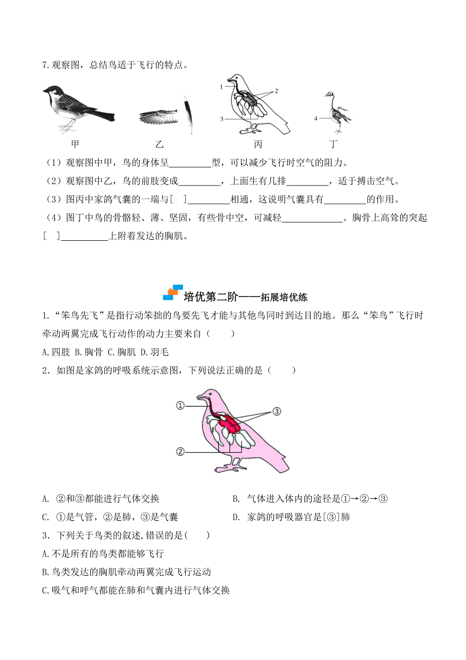 【人教】课时练习5.1.6 鸟-课后培优分级练（人教版）（原卷版）_第3页