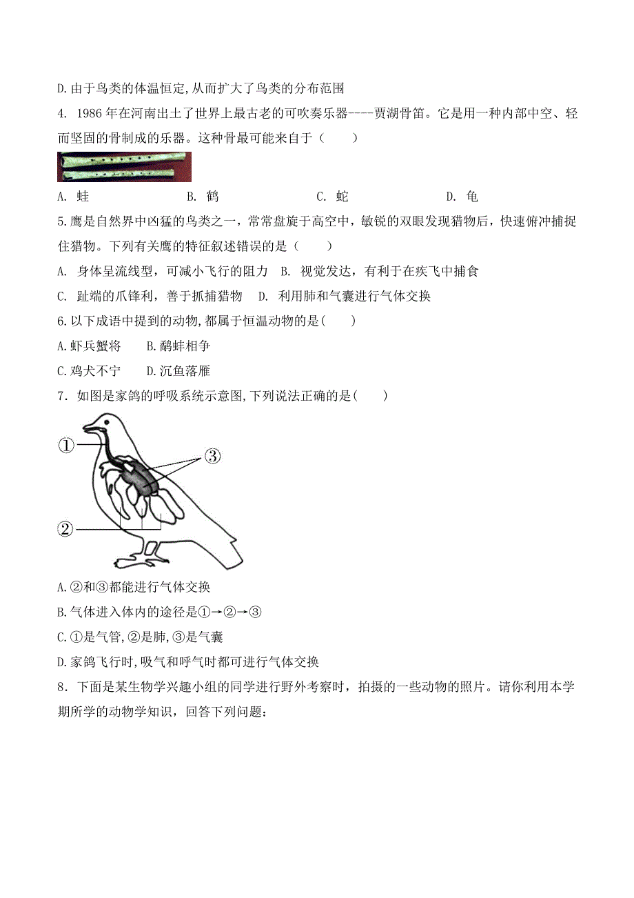 【人教】课时练习5.1.6 鸟-课后培优分级练（人教版）（原卷版）_第4页