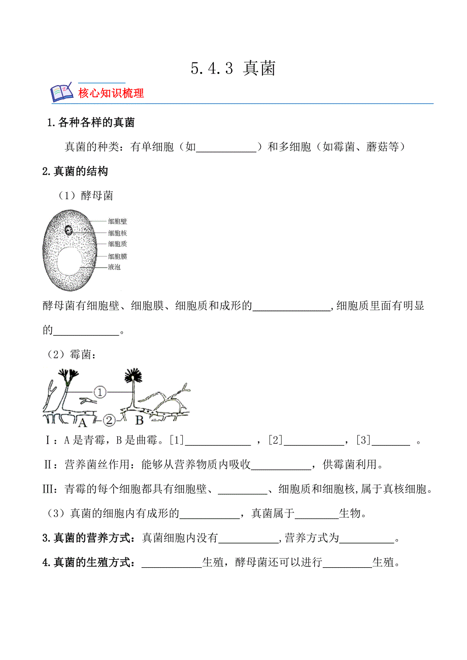 【人教】课时练习5.4.3 真菌-课后培优分级练（人教版）（原卷版）_第1页