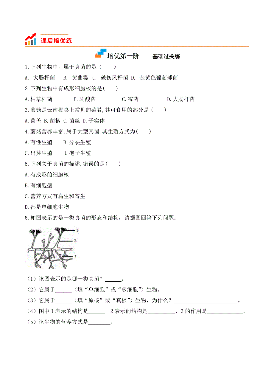 【人教】课时练习5.4.3 真菌-课后培优分级练（人教版）（原卷版）_第2页