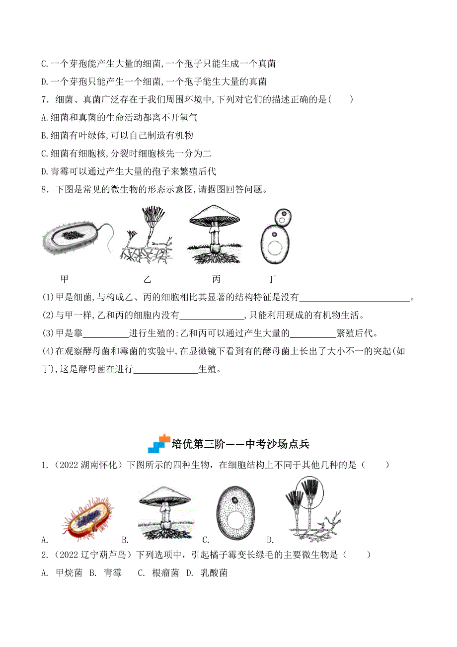 【人教】课时练习5.4.3 真菌-课后培优分级练（人教版）（原卷版）_第4页