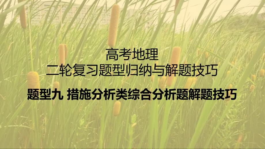 题型九+措施分析类综合分析题解题技巧——2025届高考地理二轮复习题型归纳与解题技巧_第1页