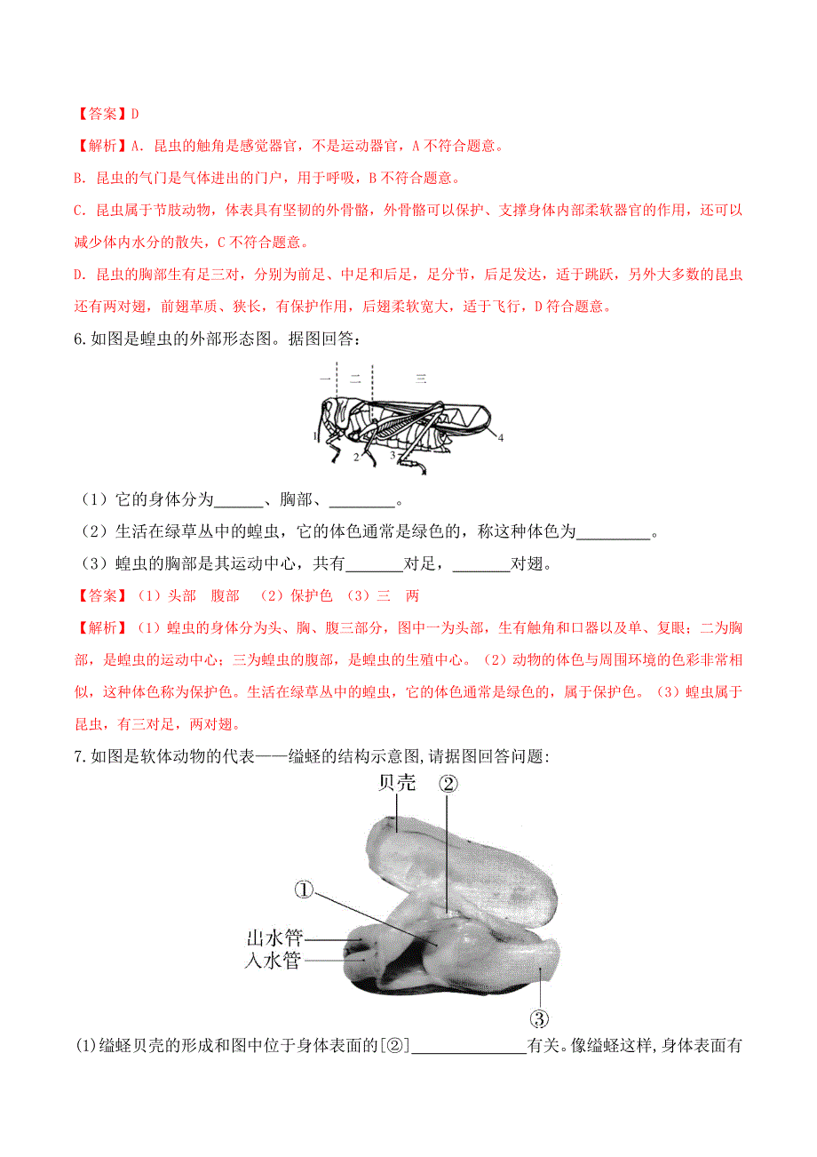 【人教】课时练习5.1.3 软体动物和节肢动物-课后培优分级练（人教版）（解析版）_第3页