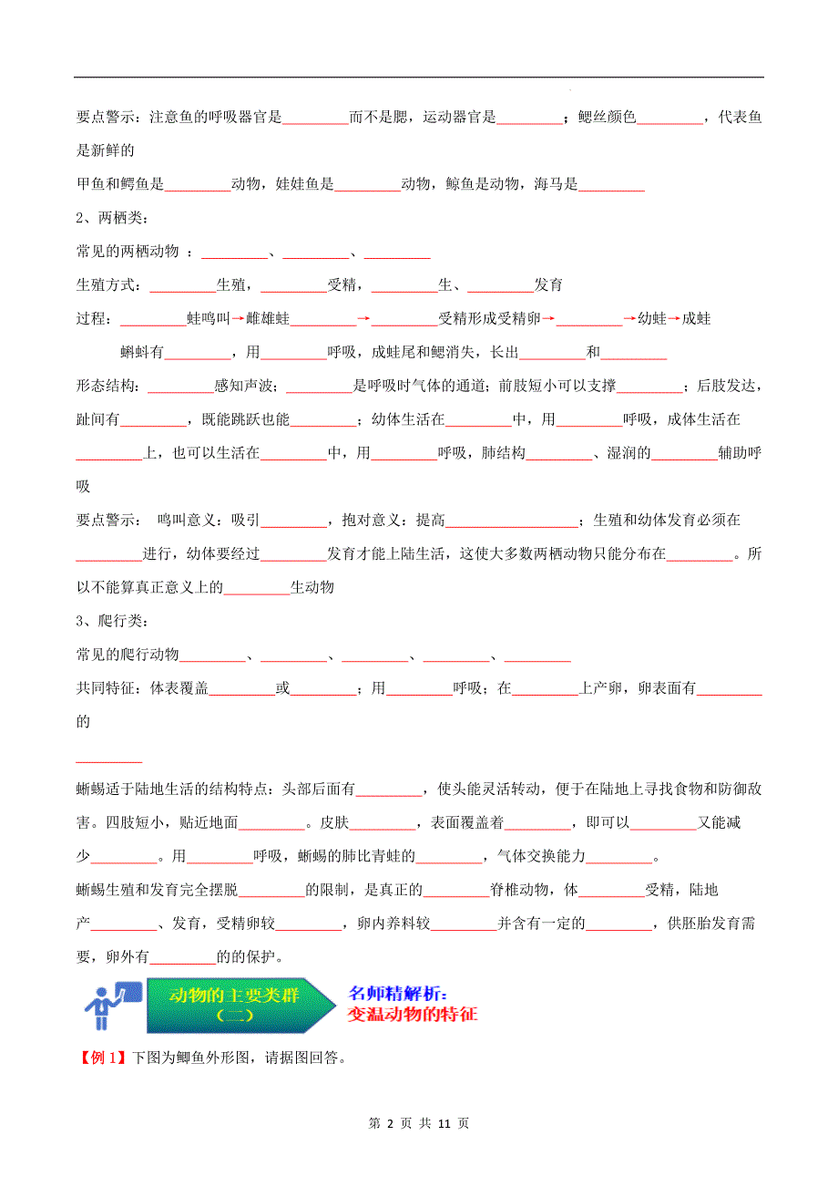 【人教】考点02 动物的主要类群（二、脊椎动物）（原卷版）_第2页