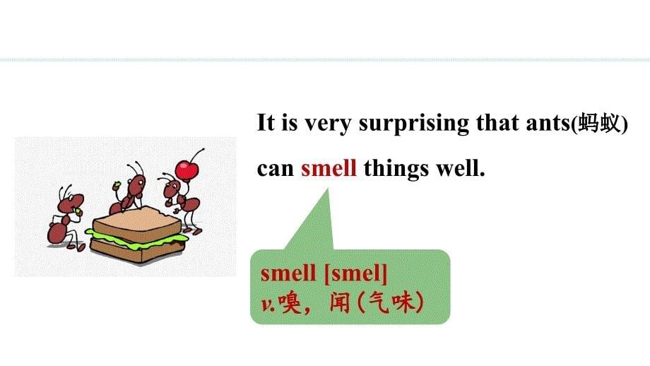 Unit 3 Lesson 1 课件 2024-2025学年冀教版（2024）七年级英语上册_第5页