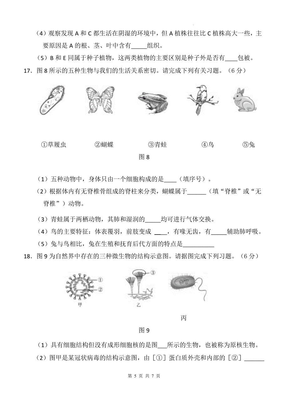 人教版七年级生物上册期末测试卷（带答案）_第5页