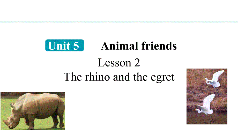 Unit 5 Lesson 2（课件）2024-2025学年冀教版七年级英语上册_第1页