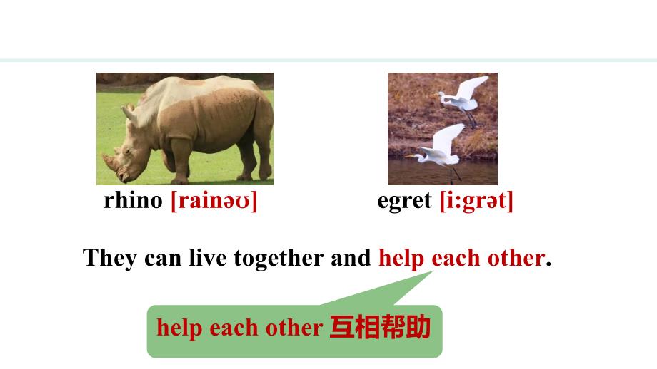 Unit 5 Lesson 2（课件）2024-2025学年冀教版七年级英语上册_第4页