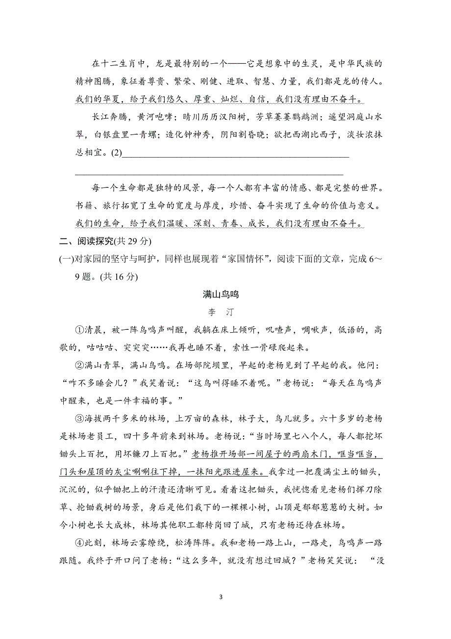 2025年春九年级语文下册期末综合测试卷（人教河南版）_第3页