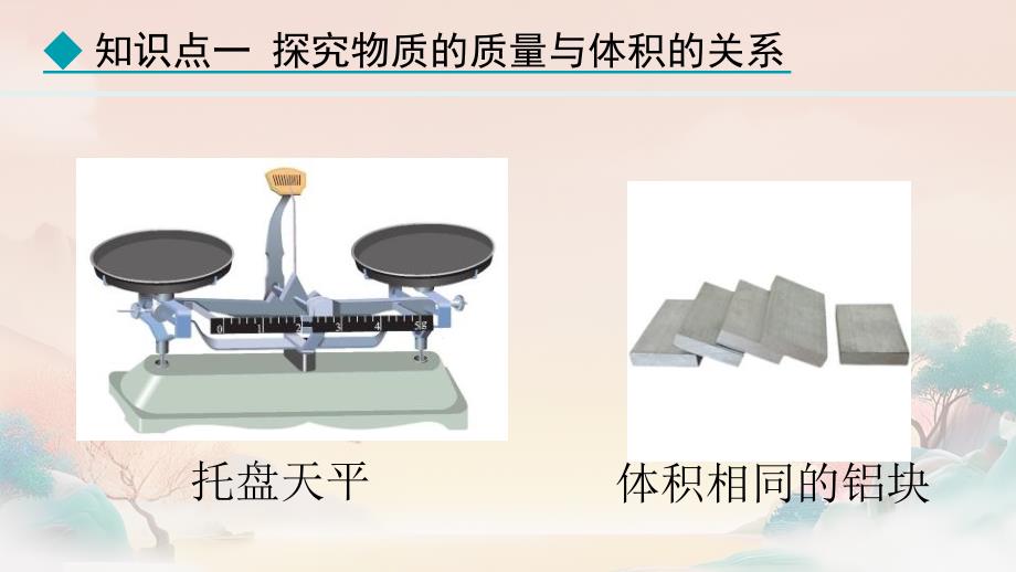 【课件】第1课时++认识密度课件2024-2025学年人教版八年级物理上册_第4页