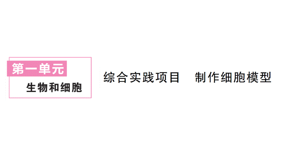 初中生物新人教版七年级上册第一单元第三章综合实践项目 制作细胞模型作业课件2024秋_第1页