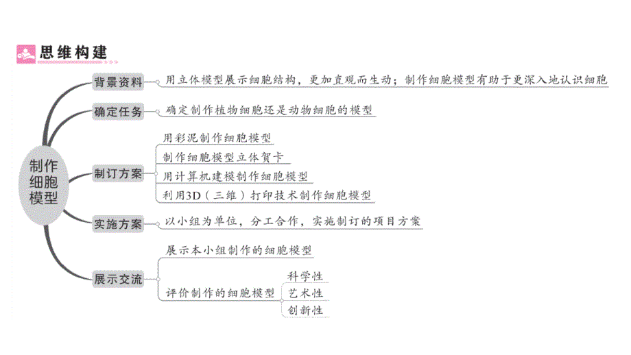 初中生物新人教版七年级上册第一单元第三章综合实践项目 制作细胞模型作业课件2024秋_第2页