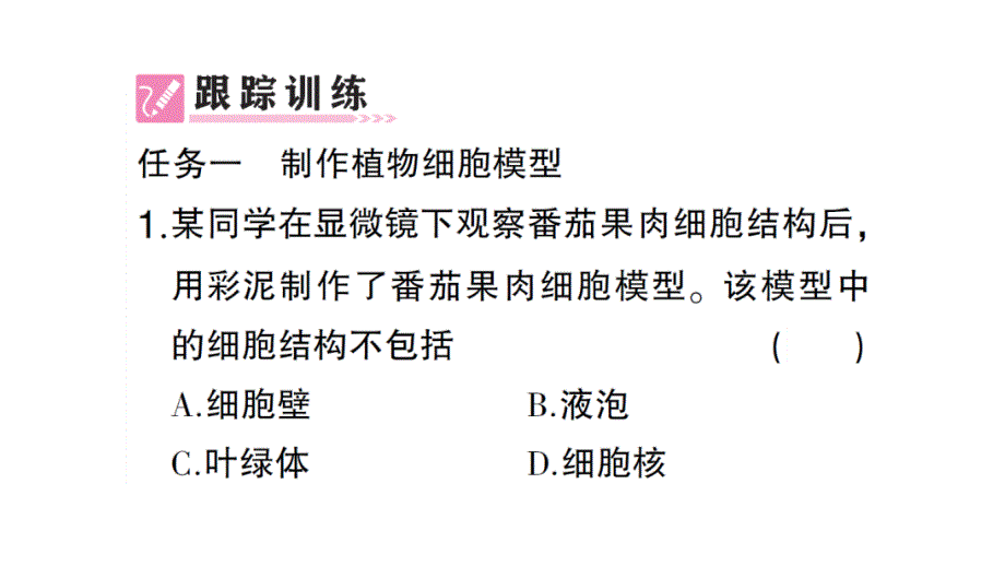 初中生物新人教版七年级上册第一单元第三章综合实践项目 制作细胞模型作业课件2024秋_第3页