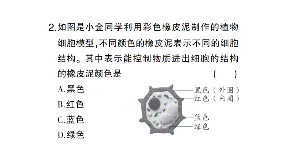 初中生物新人教版七年级上册第一单元第三章综合实践项目 制作细胞模型作业课件2024秋_第4页