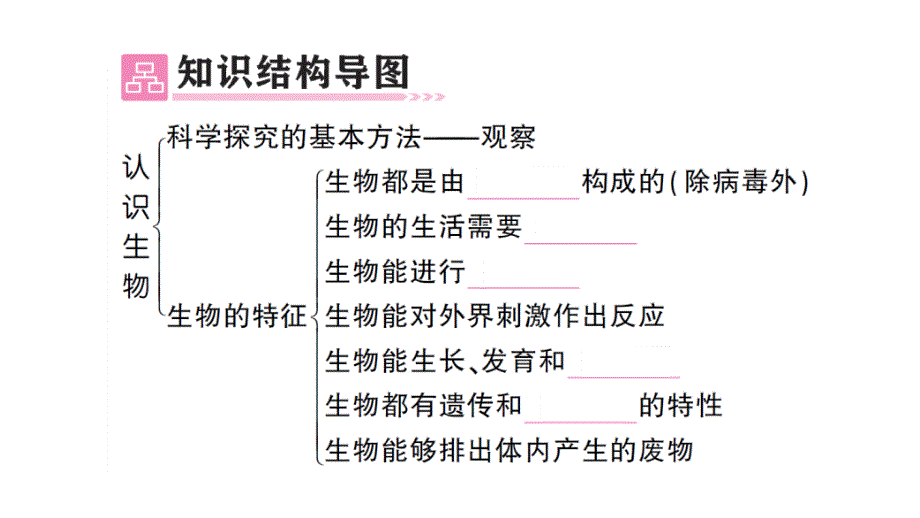 初中生物新人教版七年级上册第一单元第一、二章 总结训练作业课件2024秋_第2页