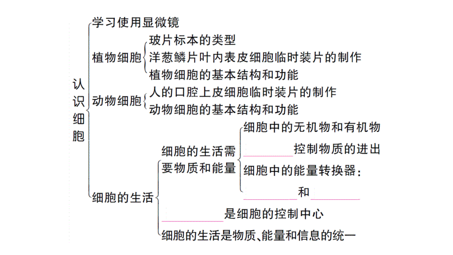 初中生物新人教版七年级上册第一单元第一、二章 总结训练作业课件2024秋_第3页