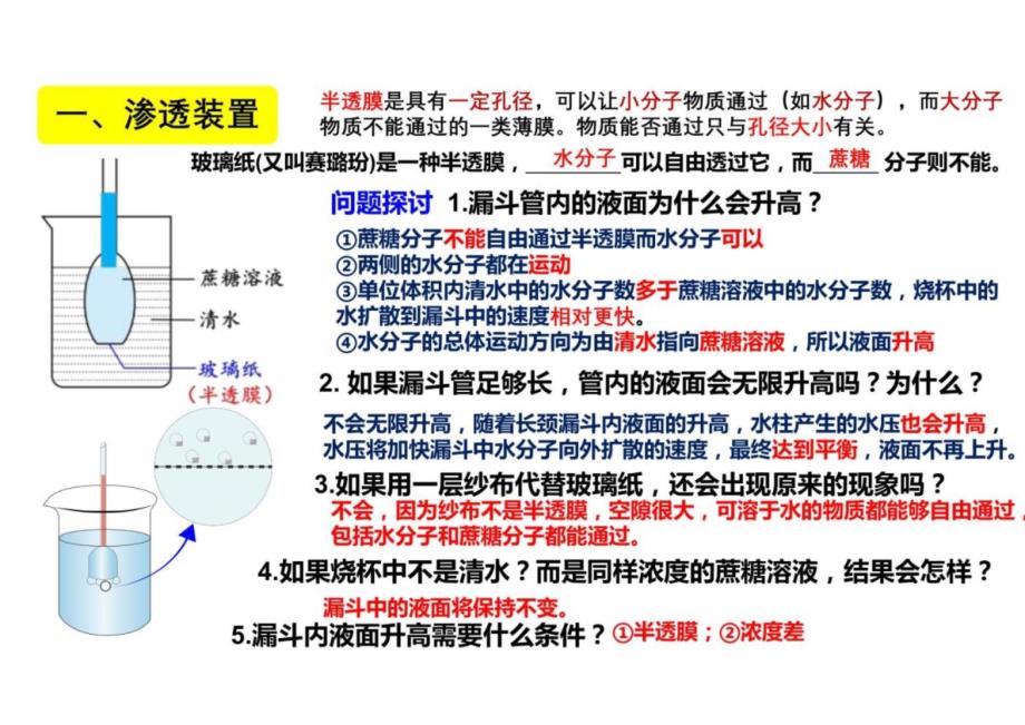 第四章细胞的物质输入和输出复习课高一上学期生物人教版（2019）必修1_第2页