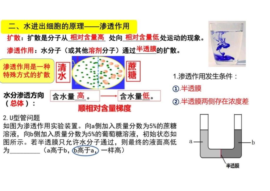 第四章细胞的物质输入和输出复习课高一上学期生物人教版（2019）必修1_第3页