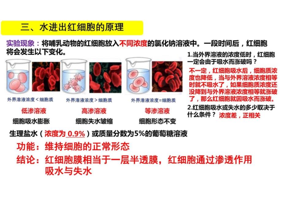 第四章细胞的物质输入和输出复习课高一上学期生物人教版（2019）必修1_第4页