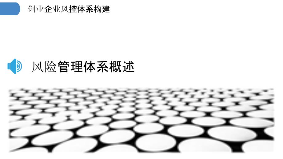 创业企业风控体系构建-洞察研究_第3页