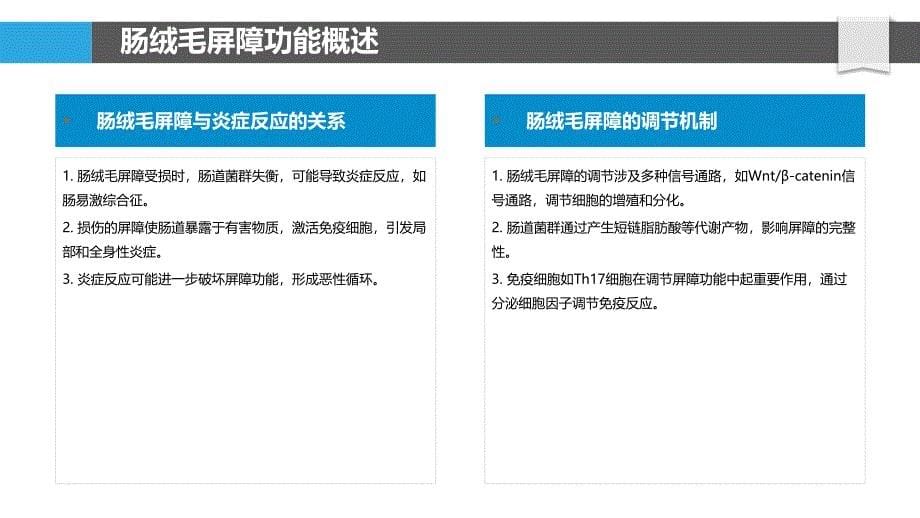 肠绒毛屏障与炎症反应关系-洞察研究_第5页