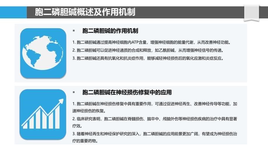 胞二磷胆碱在神经损伤修复中的角色-洞察研究_第5页