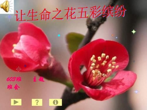 心理健康主题班会之让生命之花五彩缤纷