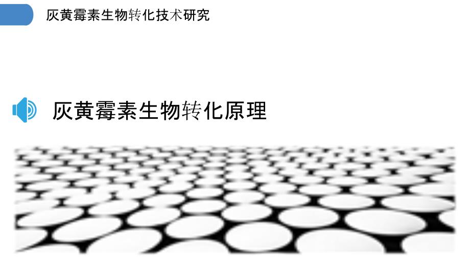 灰黄霉素生物转化技术研究-洞察研究_第3页