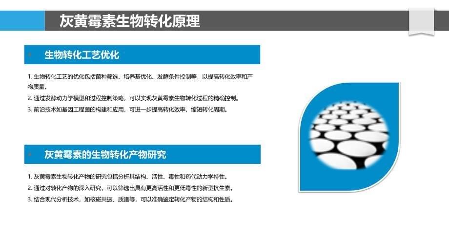 灰黄霉素生物转化技术研究-洞察研究_第5页