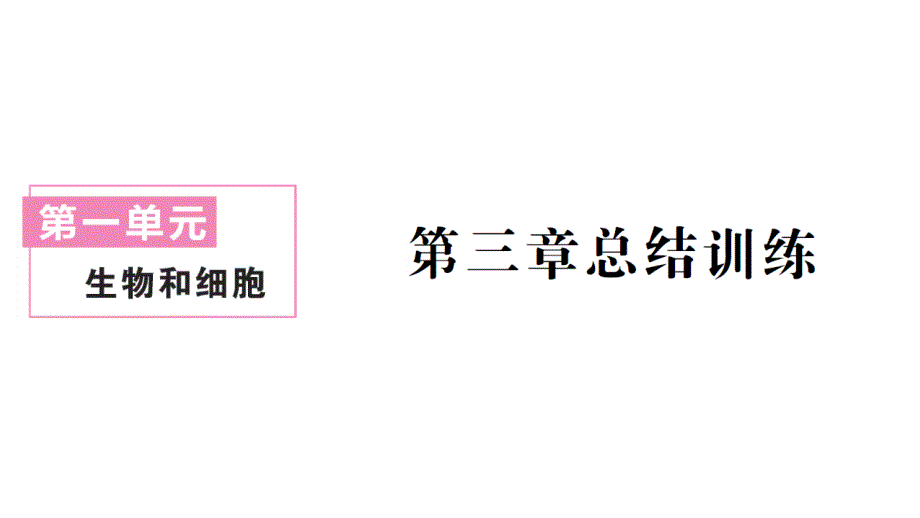 初中生物新人教版七年级上册第一单元第三章 从细胞到生物体总结训练作业课件2024秋_第1页