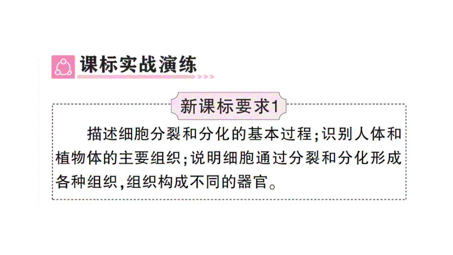 初中生物新人教版七年级上册第一单元第三章 从细胞到生物体总结训练作业课件2024秋_第3页