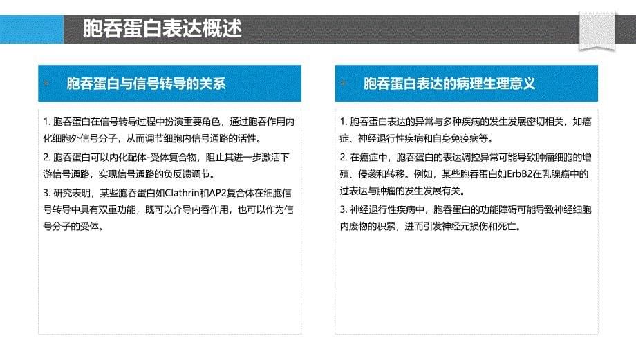 胞吞蛋白表达调控-洞察研究_第5页