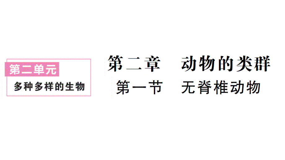 初中生物新人教版七年级上册第二单元第二章第一节 无脊椎动物作业课件2024秋_第1页