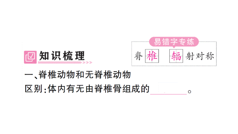 初中生物新人教版七年级上册第二单元第二章第一节 无脊椎动物作业课件2024秋_第2页