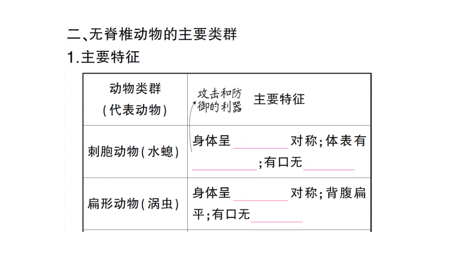 初中生物新人教版七年级上册第二单元第二章第一节 无脊椎动物作业课件2024秋_第3页