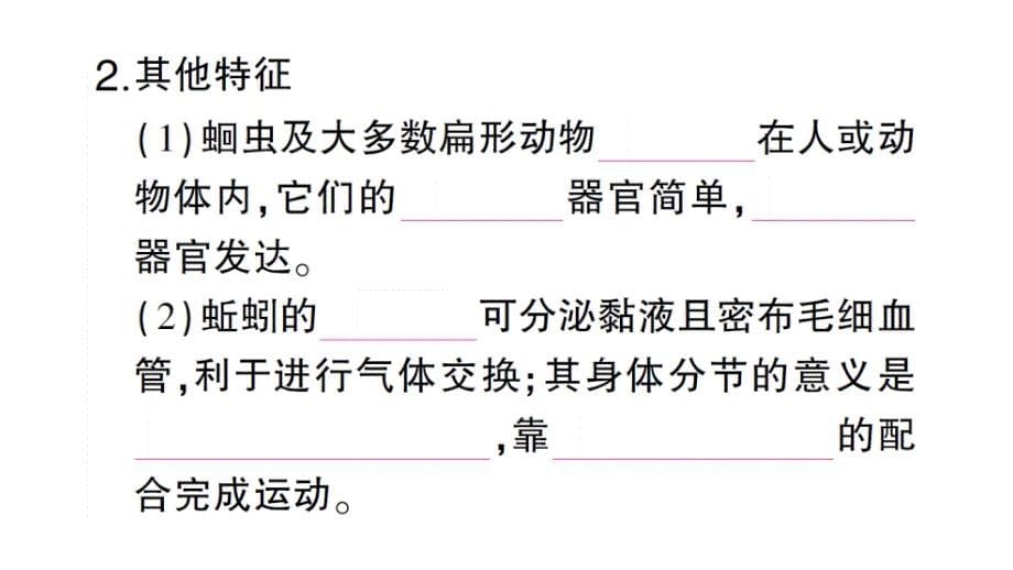 初中生物新人教版七年级上册第二单元第二章第一节 无脊椎动物作业课件2024秋_第5页