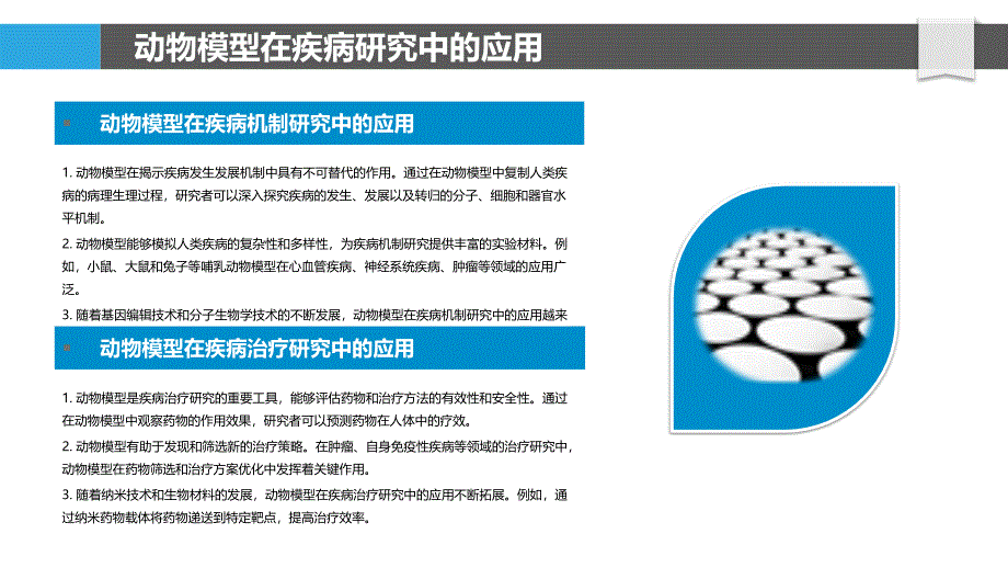 动物模型与人类疾病关系-洞察研究_第4页