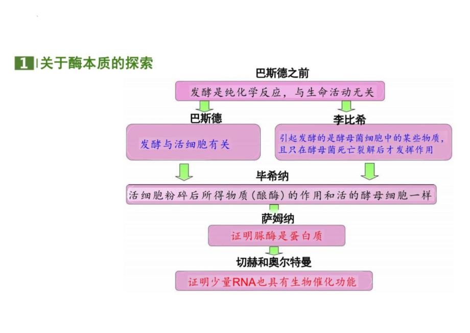 酶的特性高一上学期生物人教版（2019）必修一_第1页