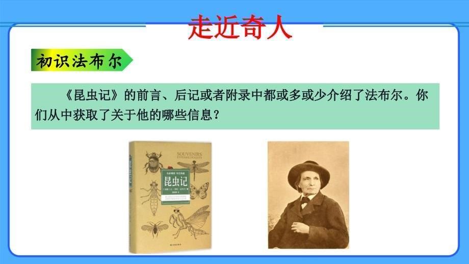 人教部编八年级语文上册《名著导读 昆虫记》示范课教学课件_第5页